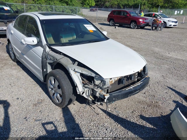 Honda Accord 2.4 Ex-l