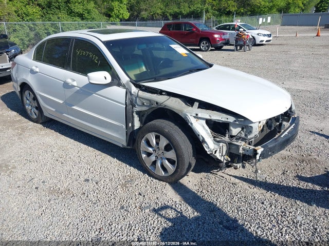 Salvage Honda Accord Image