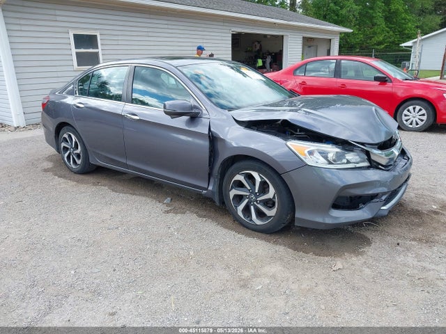 Salvage Honda Accord Image