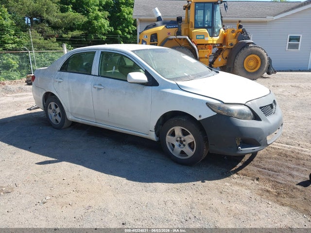 Salvage Toyota Corolla Image
