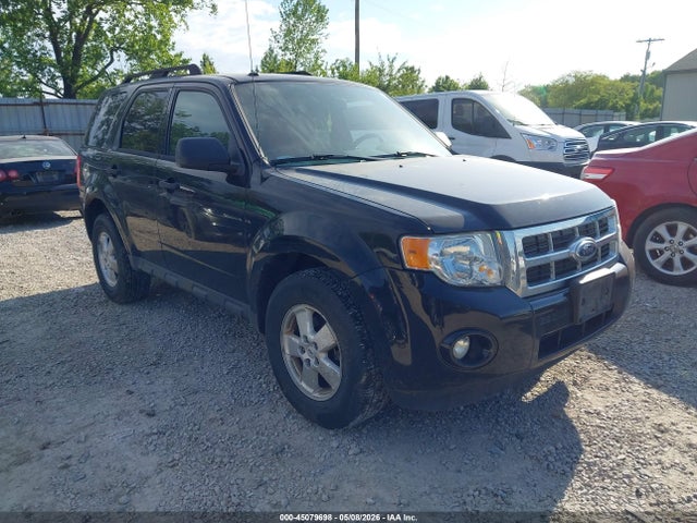 Salvage Ford Escape Image
