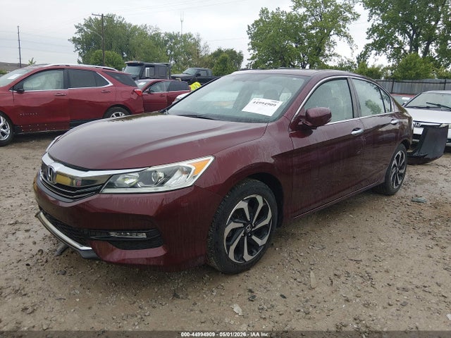 Honda Accord Ex-l