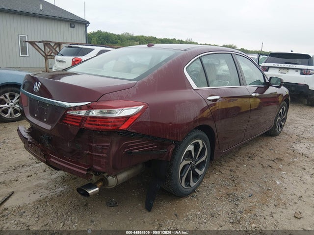 Honda Accord Ex-l