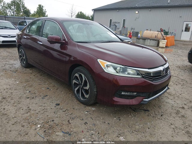 Salvage Honda Accord Image