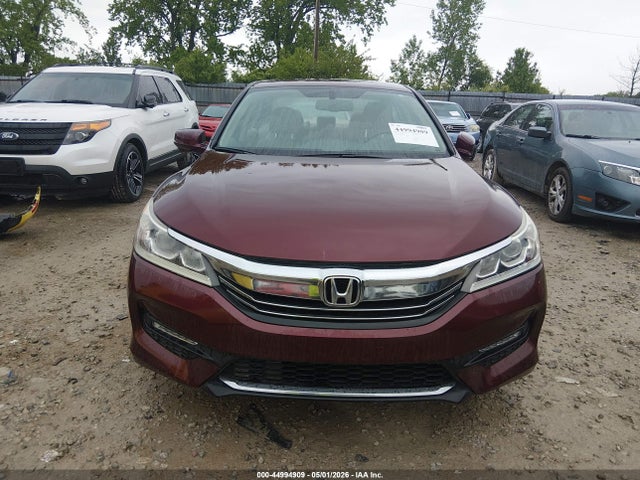 Honda Accord Ex-l