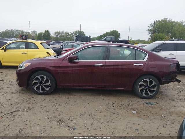 Honda Accord Ex-l