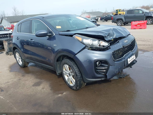 Salvage Kia Sportage Image