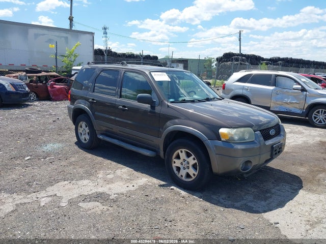 Salvage Ford Escape Image