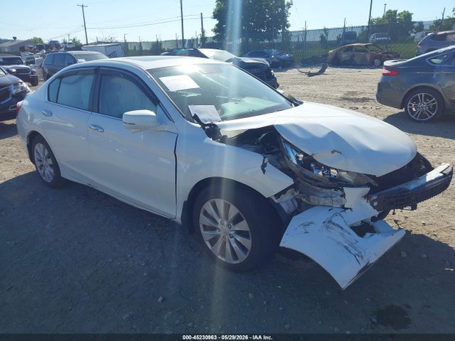 Salvage Honda Accord Image