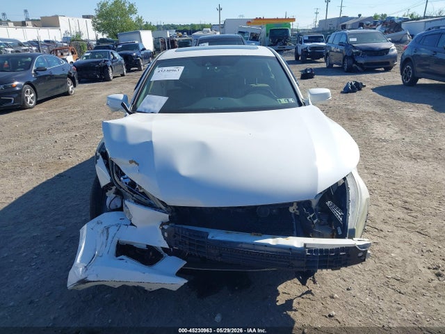 Honda Accord Ex-l