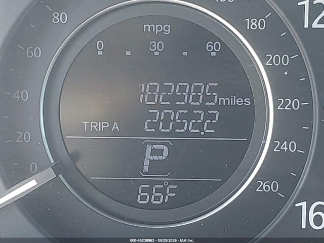 Honda Accord Ex-l