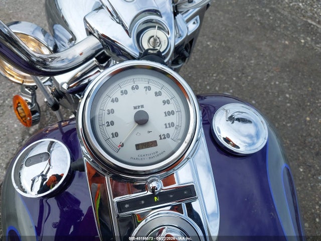 Harley-Davidson Flhrsei