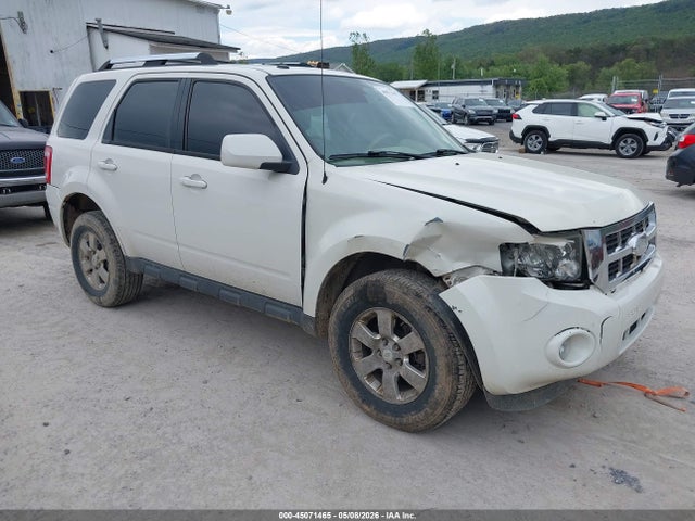Salvage Ford Escape Image