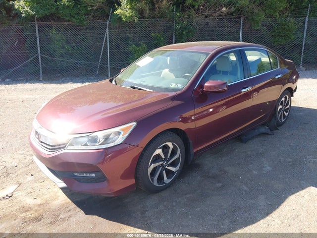 Honda Accord Ex-l