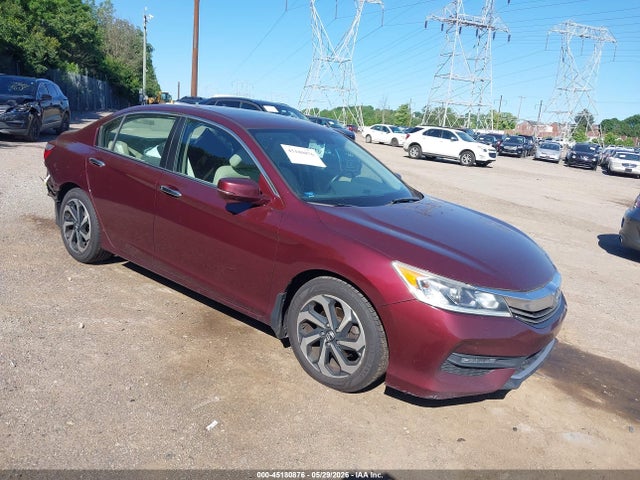 Salvage Honda Accord Image