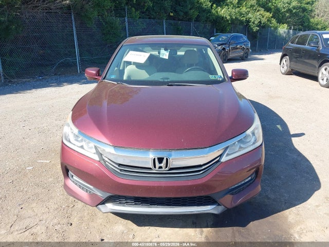 Honda Accord Ex-l