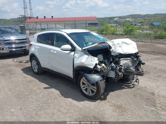 Salvage Kia Sportage Image