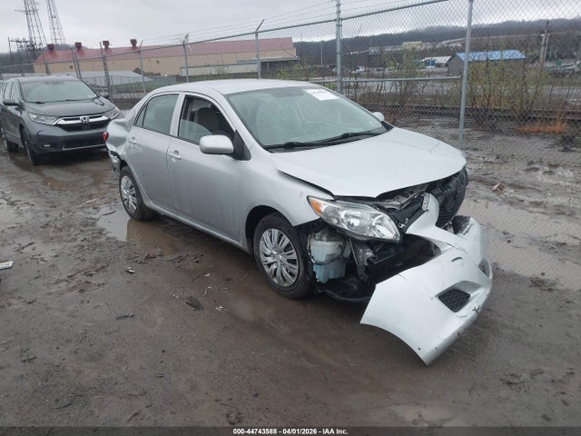 Salvage Toyota Corolla Image
