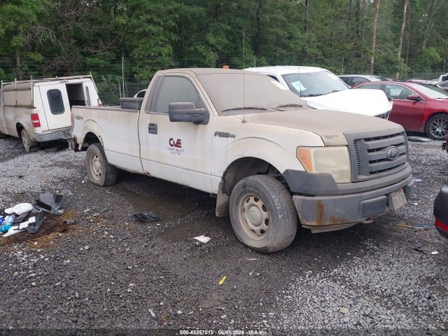 Salvage Ford F-150 Image