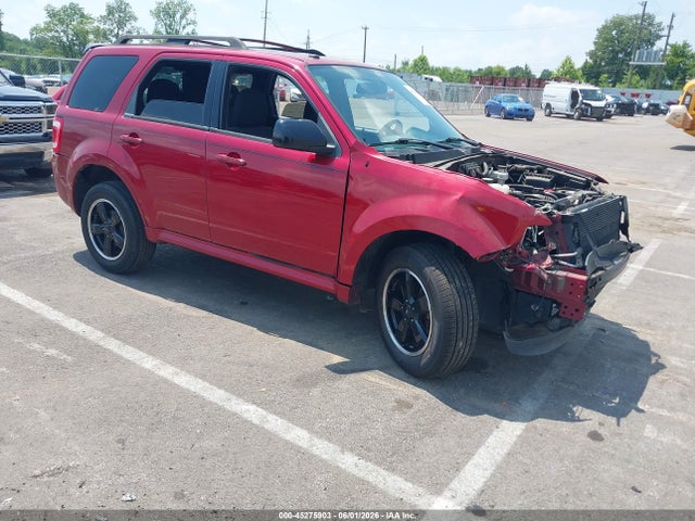 Salvage Ford Escape Image