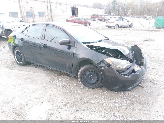 Salvage Toyota Corolla Image