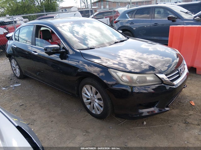 Salvage Honda Accord Image