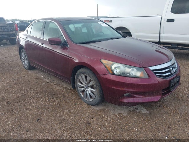Salvage Honda Accord Image