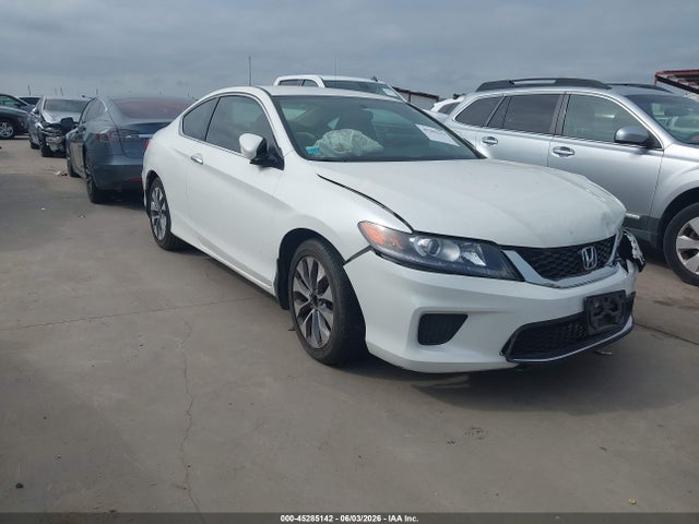 Salvage Honda Accord Image