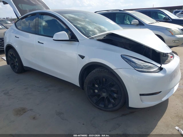 Salvage Tesla Model Y Image