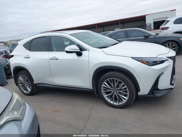 Lexus NX Premium