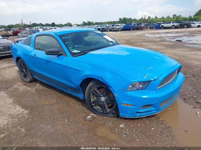 Salvage Ford Mustang Image
