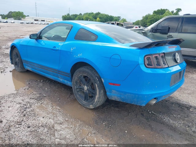 Ford Mustang V6