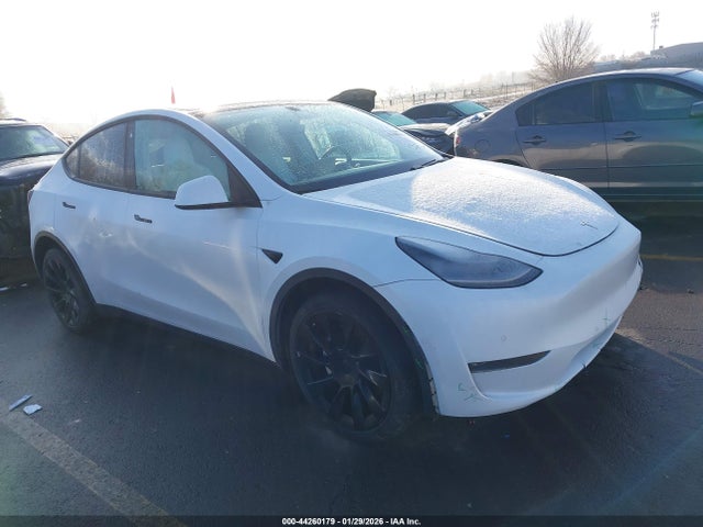 Salvage Tesla Model Y Image