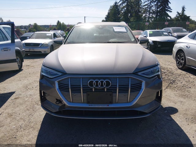 Audi e-tron Premium Plus