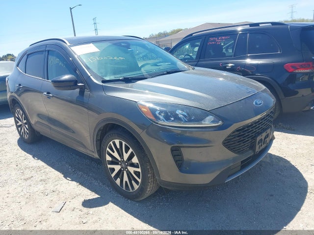 Salvage Ford Escape Image