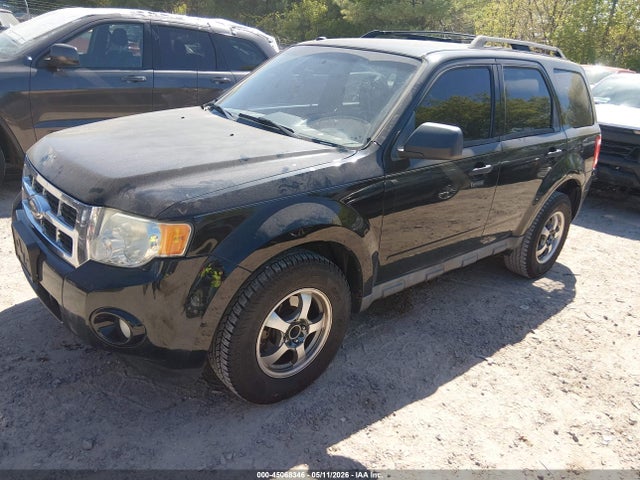 Ford Escape Xlt