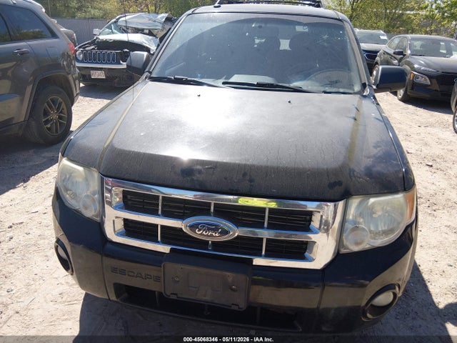 Ford Escape Xlt
