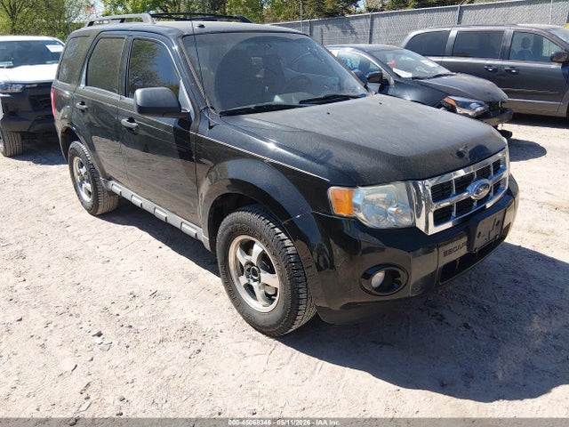 Salvage Ford Escape Image