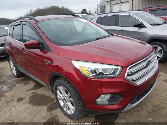 Salvage Ford Escape Image