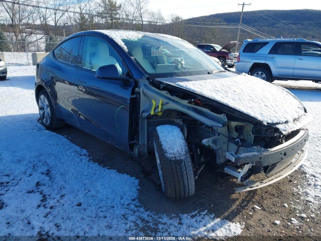 Salvage Tesla Model Y Image