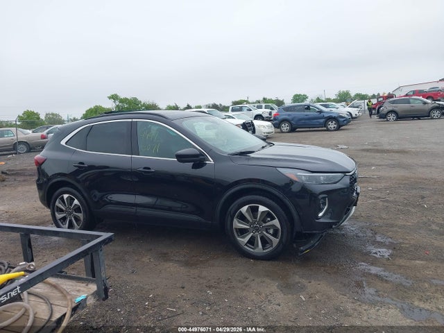 Ford Escape Platinum