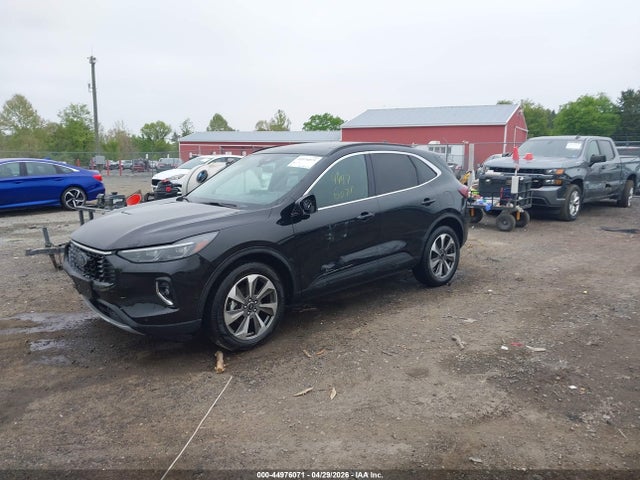 Ford Escape Platinum