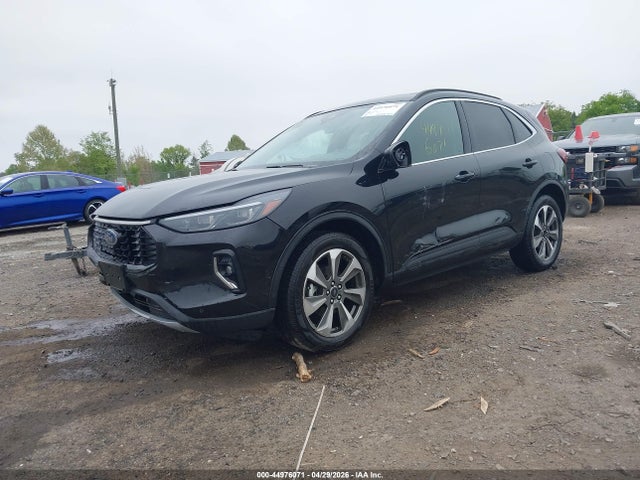Ford Escape Platinum