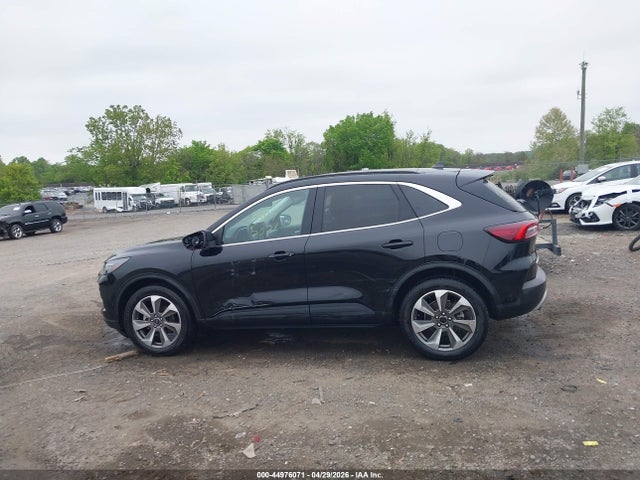 Ford Escape Platinum