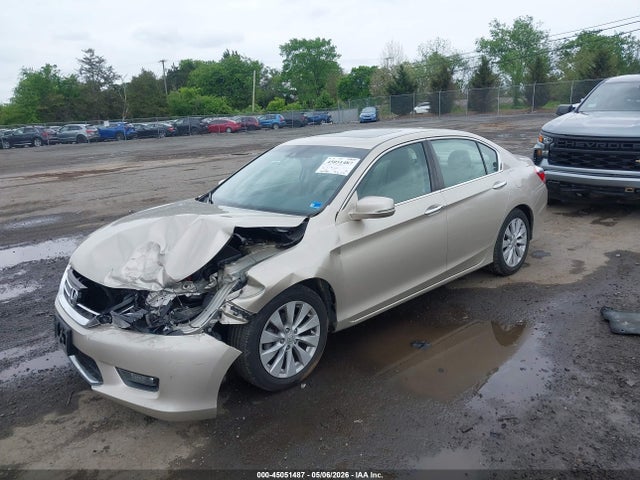 Honda Accord Ex-l