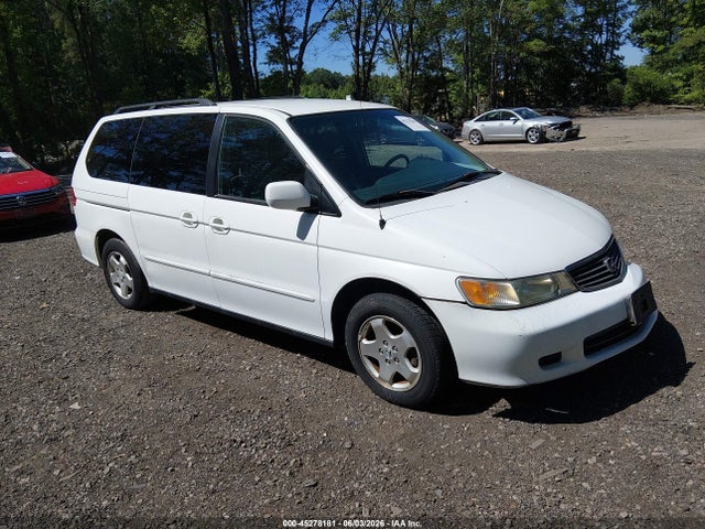 Salvage Honda Odyssey Image