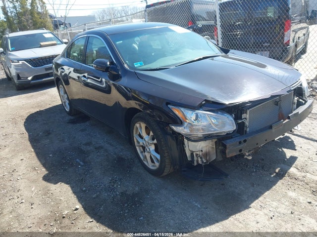 Salvage Nissan Maxima Image