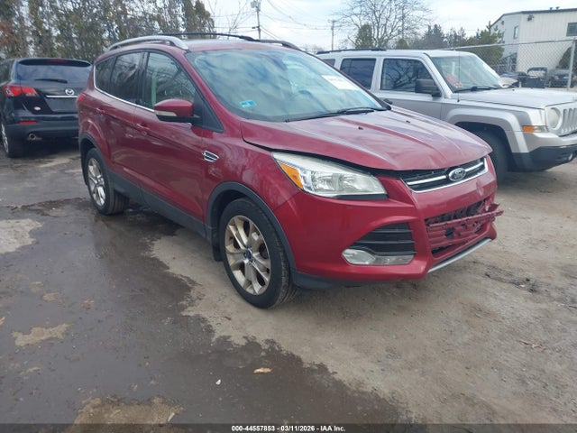 Salvage Ford Escape Image