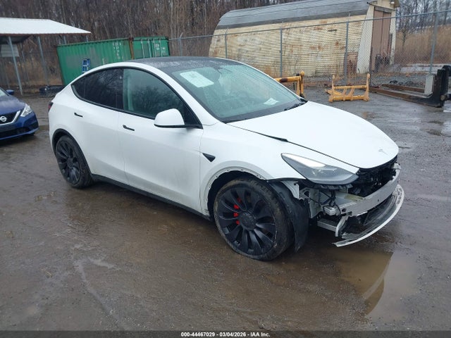Salvage Tesla Model Y Image