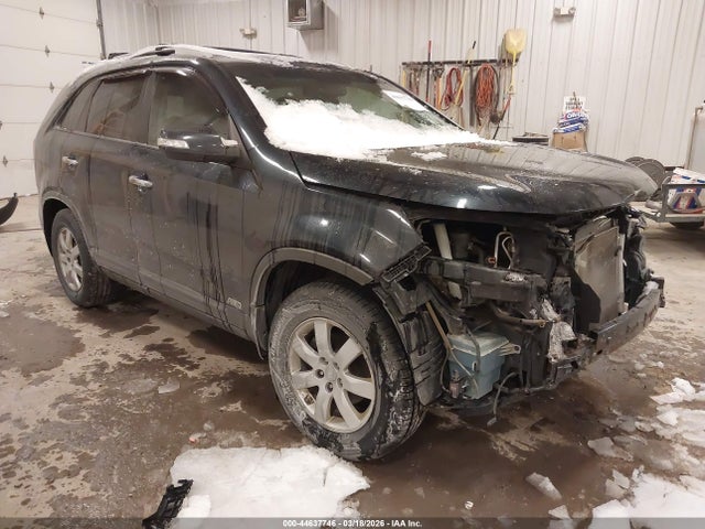 Salvage Kia Sorento Image